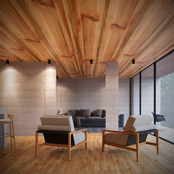 Imagem sobre o servico de Forros Vinilicos